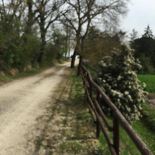 a dirt road with a fence and flowers at Azienda Agrituristica I Tre Casali in Magione