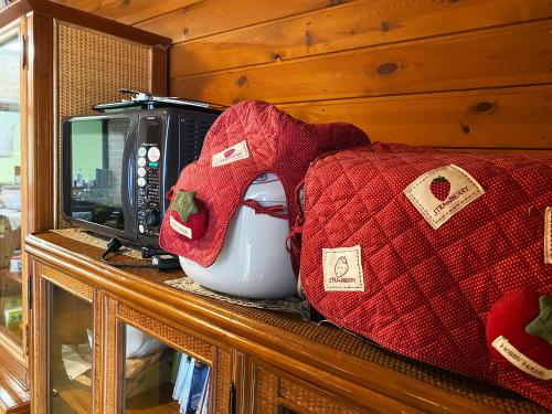 Yatsugatake Mountain Cabin - 八ヶ岳 お山の家にあるテレビまたはエンターテインメントセンター