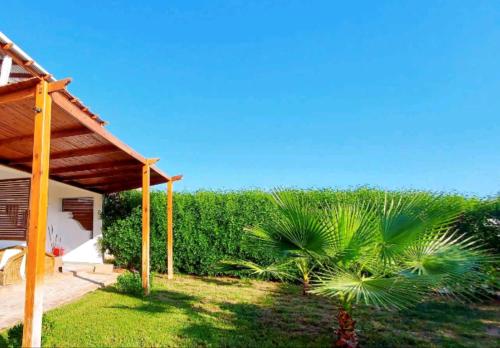 a house with a palm tree in the yard at Naama wiew- Alle due palme in Sharm El Sheikh