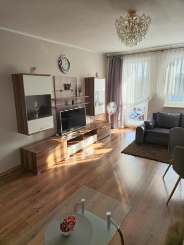 Μια τηλεόραση ή/και κέντρο ψυχαγωγίας στο Apartament Łąkowa