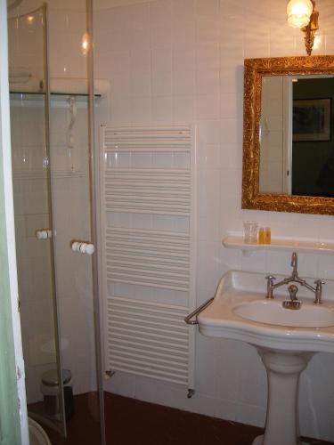 a bathroom with a sink and a mirror and a shower at Château du Grand Jardin in Valensole
