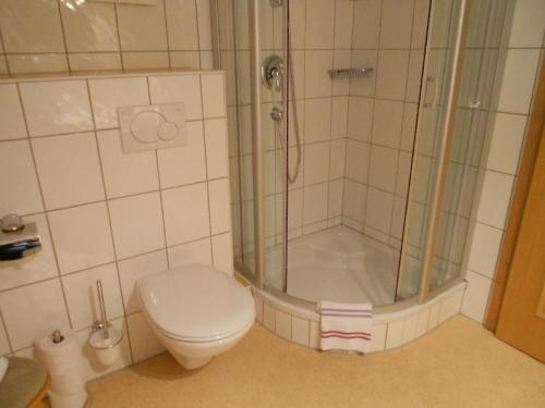 a bathroom with a shower and a toilet at Ferienwohnung Trattenhaus in Krimml