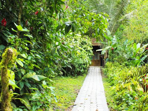 a stone path in a garden with a building at El Septimo Paraiso in Mindo