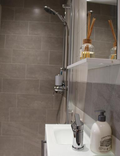 une salle de bain avec un lavabo et une douche avec un miroir dans l'établissement Green room, à Valentigney