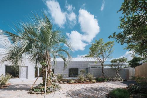 a palm tree in front of a house at Better than good in Jeju