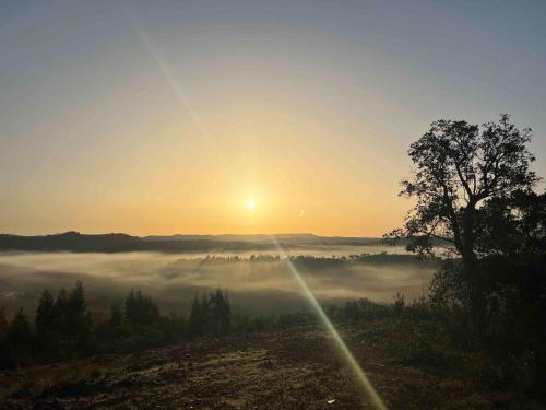 a sunrise over a foggy field with a tree at Vale das Estrelas in São Teotónio