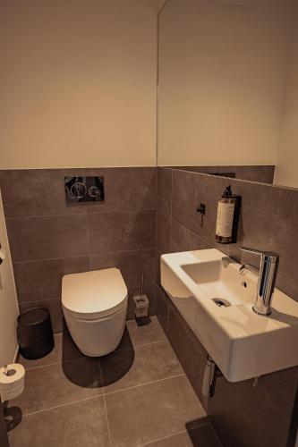 a bathroom with a white toilet and a sink at Mariandl am Berg in Amberg