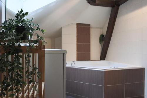 La salle de bains est pourvue d'une baignoire et d'une plante. dans l'établissement L'escale Tropicale, Centre ville, à Mulhouse