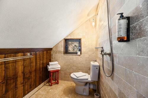 a bathroom with a toilet and a shower at Casa cu Amintiri - Authentic Cozy Cottage in Bran
