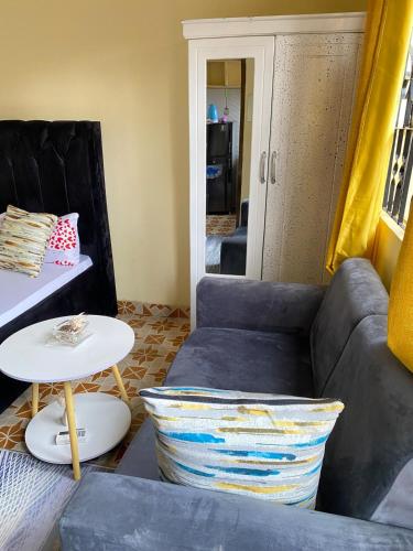 Comfort studio apartment