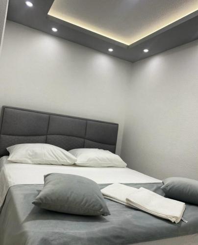 BilećaにあるApartman JOVANAのベッドルーム1室(大型ベッド1台、枕2つ付)