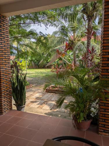 a view of a garden from a patio with palm trees at Coconut Lodge in Kampot