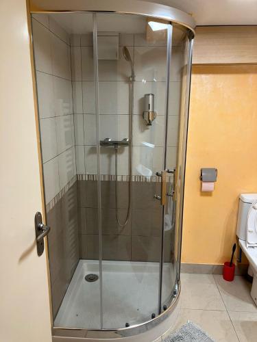 une douche avec une porte vitrée dans une salle de bain dans l'établissement Gite Le Plessis, à Chailles