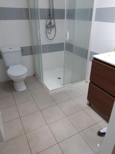 une salle de bain avec toilettes et douche dans l'établissement Chambre a louer a Nogaro, à Nogaro