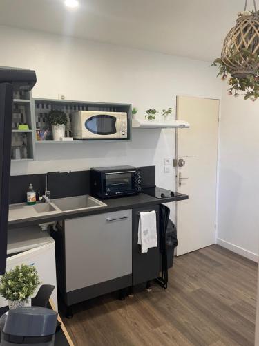 une cuisine avec un évier et un micro-ondes dans l'établissement L'ECRIN - Proche de RENNES - Lumineux - Au Calme, à Liffré