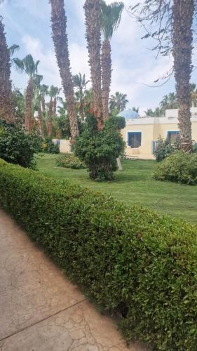 a hedge in front of a house with palm trees at Hurghada Mirage Bay Resort & Aquapark in Hurghada