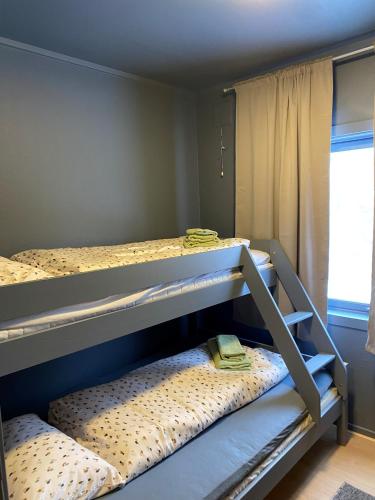 a bedroom with two bunk beds and a window at Høgtun kulturklynge in Olsborg