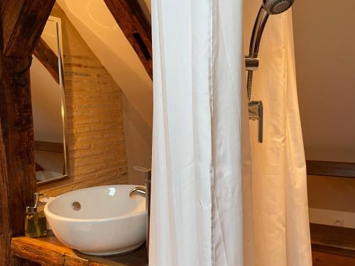 une salle de bain avec un lavabo et un rideau de douche dans l'établissement Charme campagnard proche ville, jardin paisible - FR-1-410-468, à La Flèche