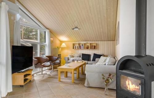 FjerritslevにあるLovely Home In Fjerritslev With Saunaのリビングルーム(暖炉付)