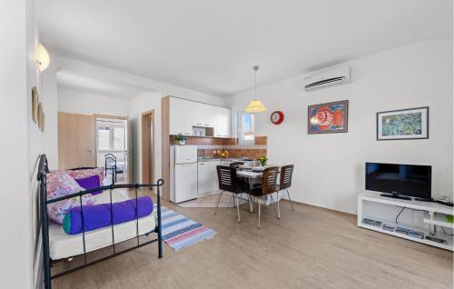 Μια τηλεόραση ή/και κέντρο ψυχαγωγίας στο Awesome Apartment In Zaton With Wifi