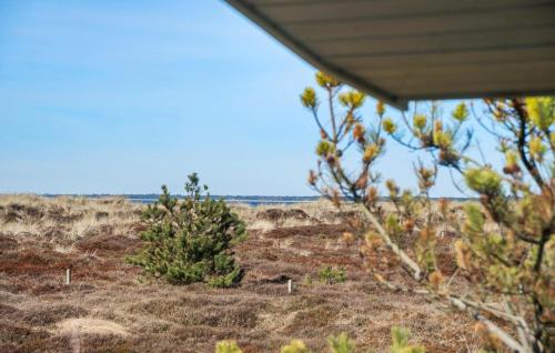 a christmas tree in the middle of a field at Nice Home In Højby With House Sea View in Højby