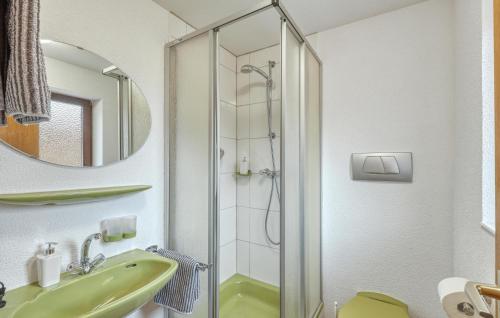 a bathroom with a shower and a green sink at Beautiful Apartment In Bischofsheim in Gersfeld