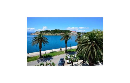 a view of a body of water with palm trees at Amazing Apartment In Makarska in Makarska