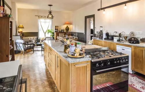 a kitchen with wooden cabinets and a stove top oven at Superbe Maison Avec Piscine in Arengosse