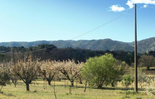 un champ d'arbres avec des montagnes en arrière-plan dans l'établissement Charmante Maison Vue Montagne, à Oppède