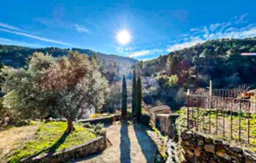 Elle offre une vue sur un jardin avec un arbre sur une colline. dans l'établissement Pittoresque Maison De Vacances, à Rochesadoule