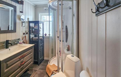 a bathroom with a shower and a toilet and a sink at Nice Home In Rjukan With Wifi in Rjukan