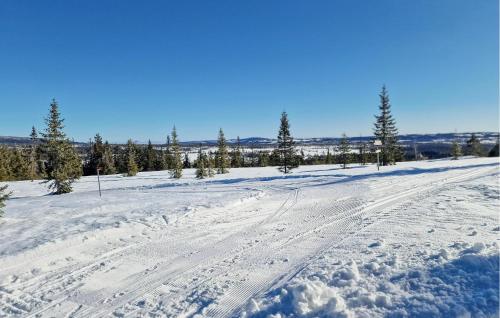 una carretera cubierta de nieve con huellas en la nieve en Beautiful Home In Vang På Hedmarken, en Sæli
