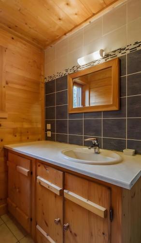 une salle de bain avec un lavabo et un miroir dans l'établissement La dent de Cons, à Notre-Dame-de-Bellecombe