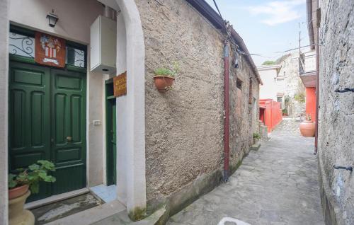 an alley with green doors and potted plants on a building at Amazing Home In Frazione Cosentini in Cosentini