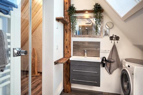 a bathroom with a sink in a tiny house at Hohwarthof in Breitnau