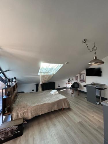 a large bedroom with a bed and a skylight at Studio Eiffel in Wittelsheim