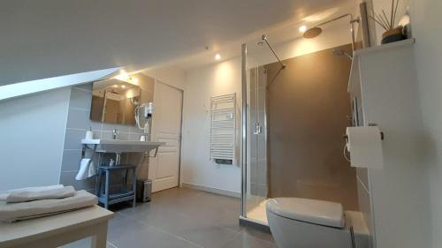 une salle de bain avec une douche, des toilettes et un lavabo dans l'établissement A1 chambre double au domaine de Treuillaud avec piscine, à Villers-les-Ormes