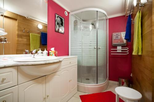 a bathroom with a sink and a shower at Studio Rouffach in Rouffach