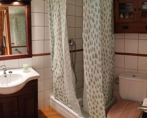 a bathroom with a shower curtain and a sink at L'avet blau in Sainte-Léocadie