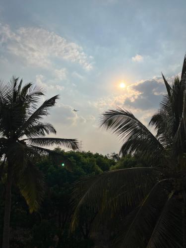 a group of palm trees with the sun in the sky at Ahika Stays in Bengaluru