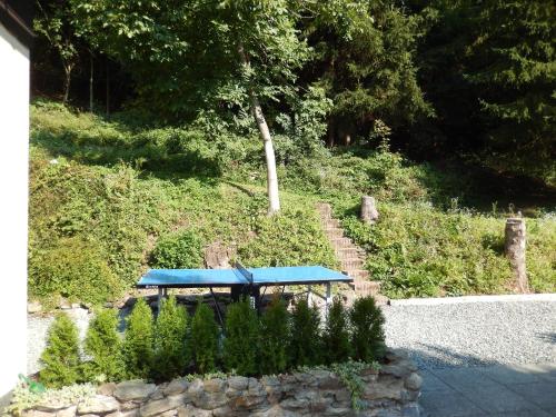 a blue picnic table in a garden with plants at Haus am Wald in Steindorf am Ossiacher See