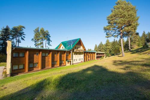 a large house on a grassy hill with a tree at Hotel Bystrina in Demanovska Dolina