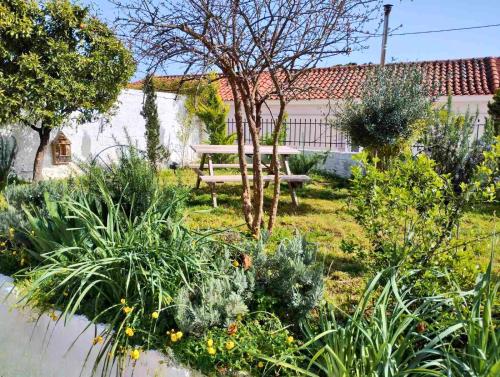 a park bench in a garden with plants at Nafplio Cottage-Grandma's Yard in Asini