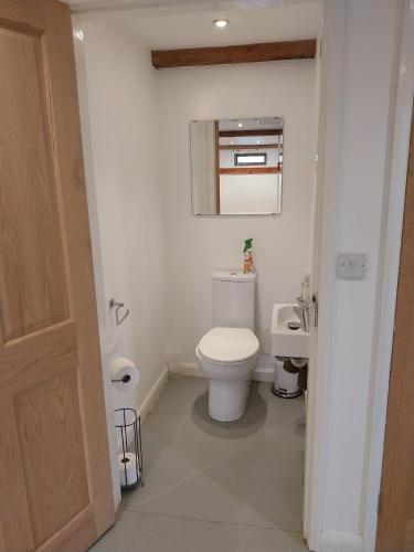 a bathroom with a white toilet and a sink at Fir Lodge in Kings Lynn