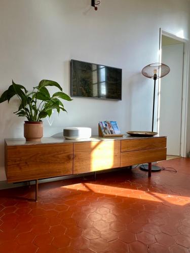 une table en bois avec une plante en pot au-dessus dans l'établissement La Suite Mazarin, à Aix-en-Provence