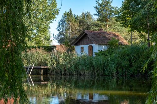 a house next to a lake with trees at Siedlisko Leszczewek in Leszczewek