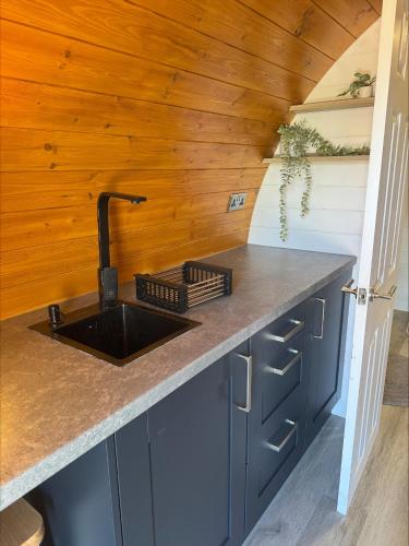 a kitchen with a sink and a wooden wall at Springfield oaks Glamping Pod in Isle of Wight