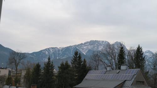 Apartament w centrum-Retrospekcja