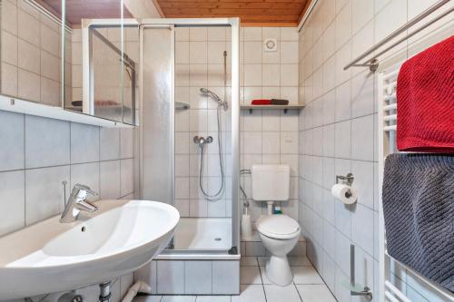a bathroom with a sink and a toilet and a shower at Ferienwohnung Sawade Schafstedt in Schafstedt