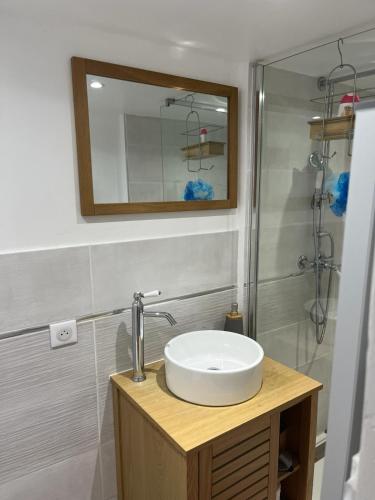 une salle de bain avec un lavabo et une douche dans l'établissement Casa nostra, à Tourrettes